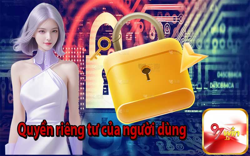 Quyền riêng tư của người dùng